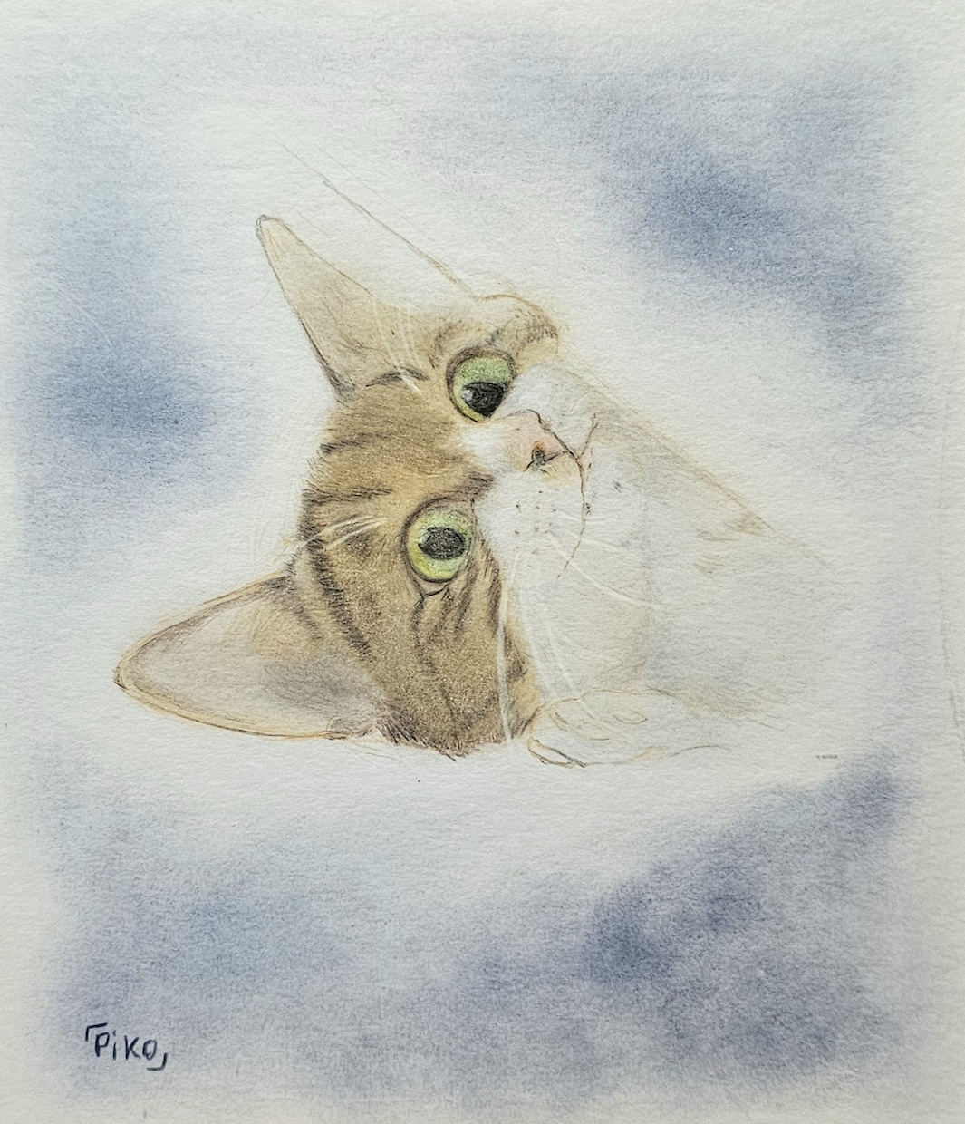 可愛いペットちゃんのイラストを描きます 可愛い猫ちゃんやワンちゃんのアナログ絵描きを描きます イメージ1