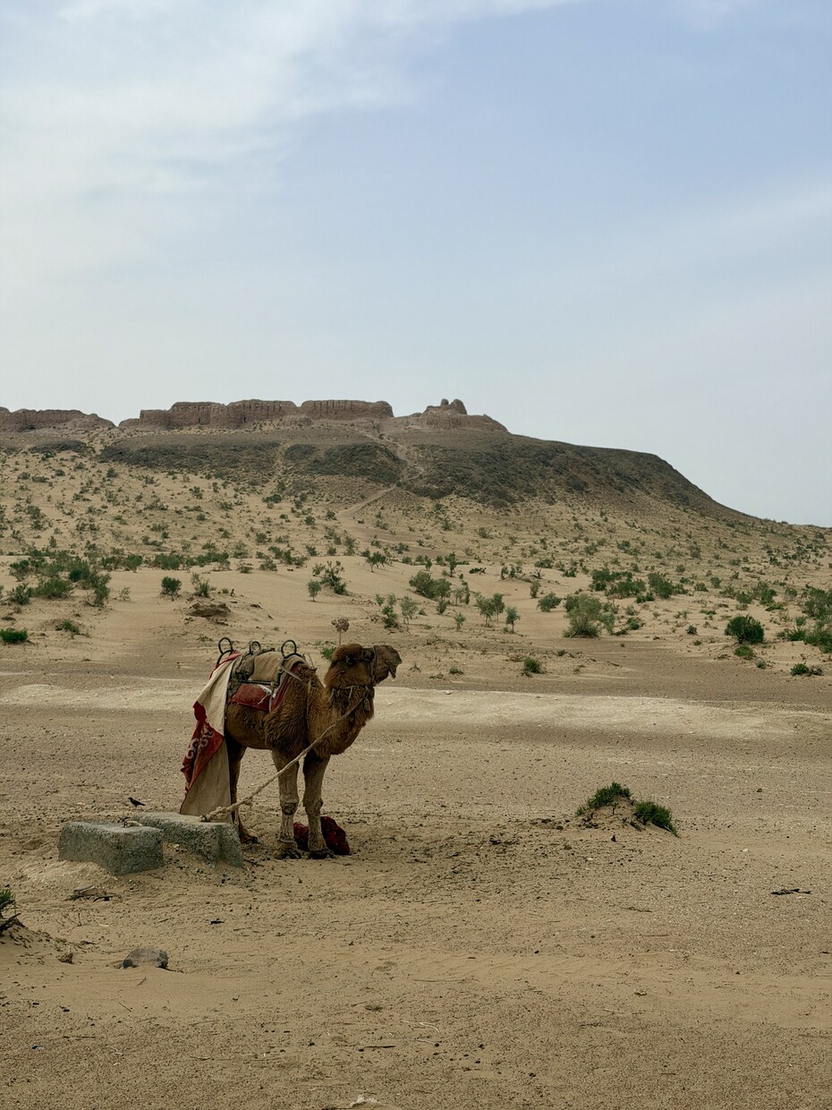 有資格者がウズベキスタン旅程作成の相談お受けします 今年20日間ウズベキスタンを旅した私が旅程作成をサポート！ イメージ5