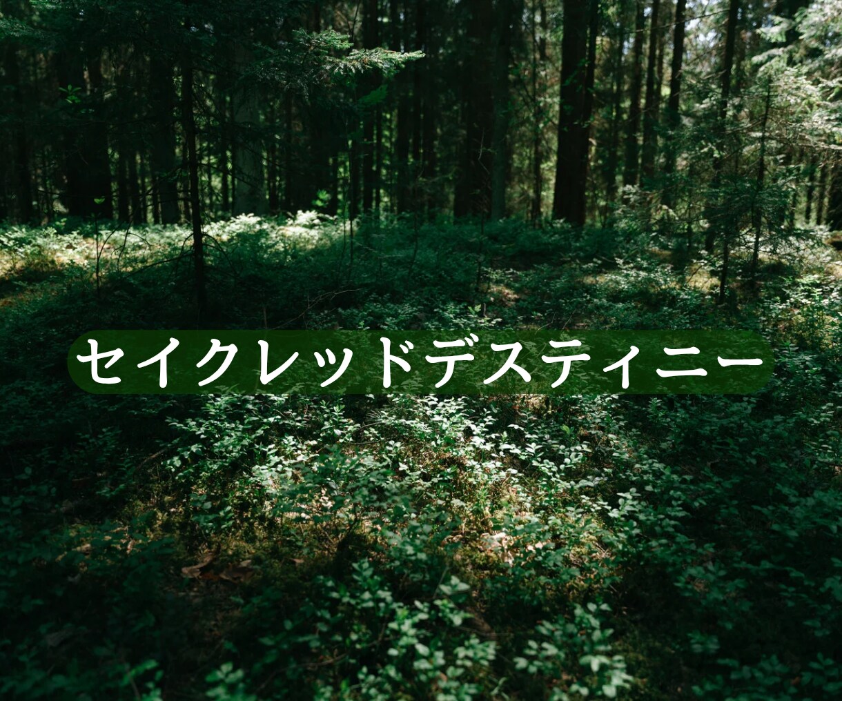 自然のエネルギーを通じて必要なメッセージ届けます 自然のエネルギーを感じたいあなたへ―セイクレッドデスティニー イメージ1