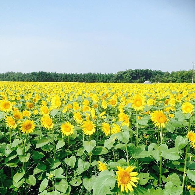 不安や愚痴、お悩み何でも聞きます 嫌なことが続き、ストレスを感じている方へ イメージ2