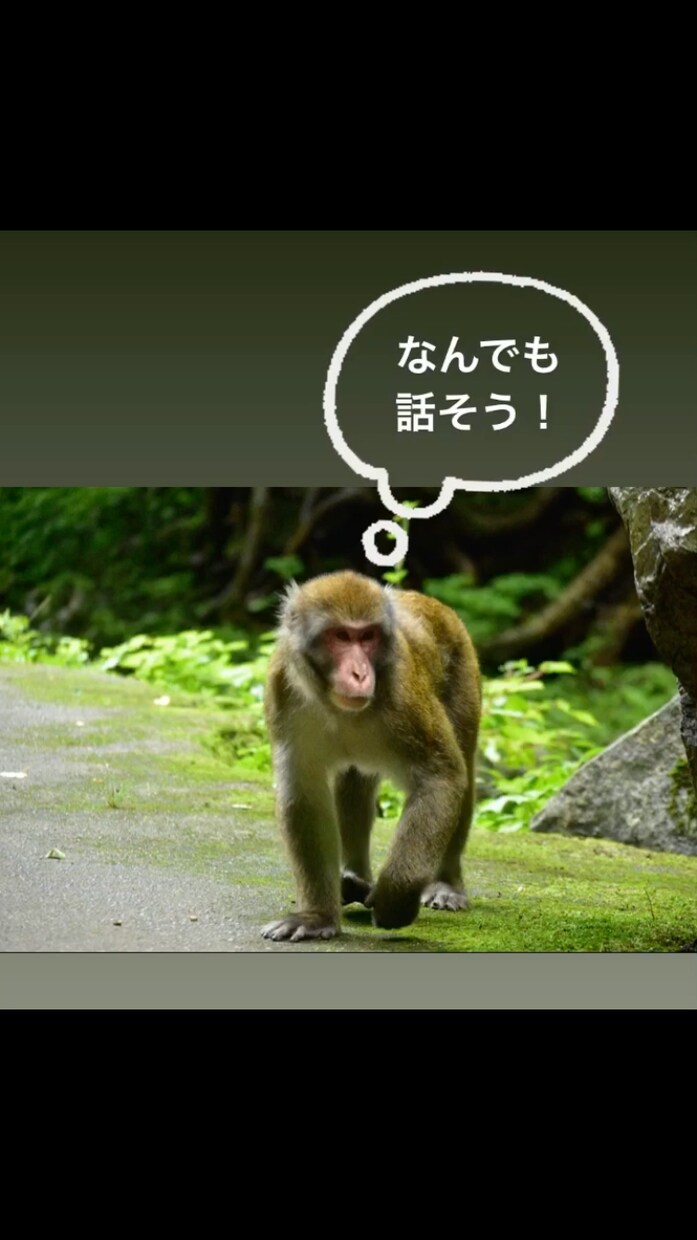 年齢制限なし！10代(男)が話し相手になります 悩み相談、雑談、暇つぶし大歓迎！！ イメージ1