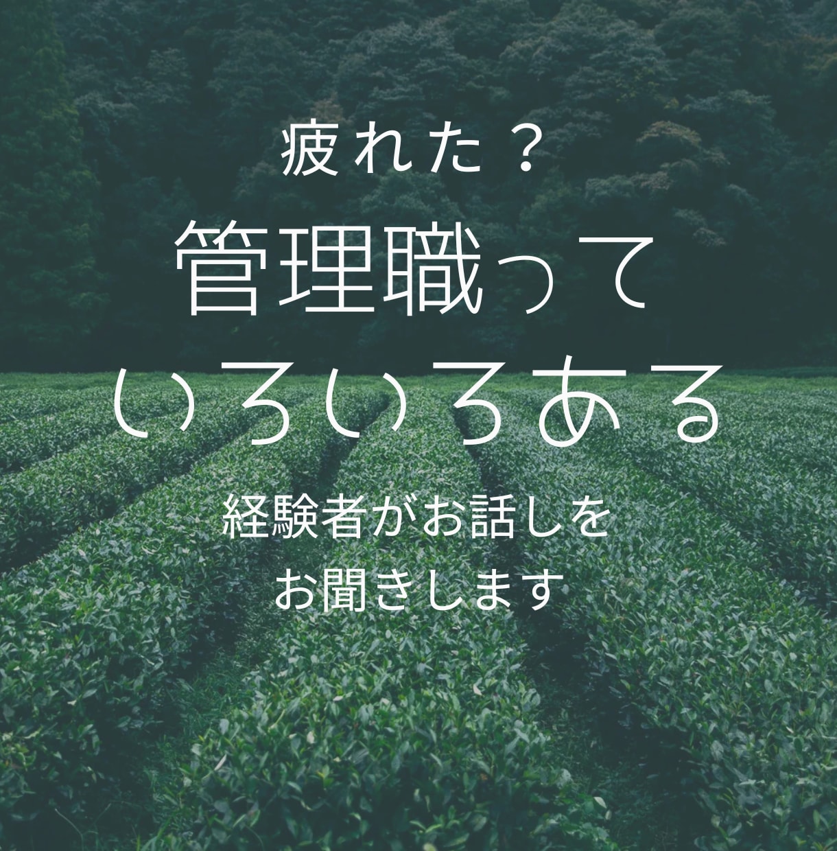 管理職さんのコーチングカウンセリング愚痴聞きします 職場で話しにくいことや、構築中のプランなどを話してみませんか イメージ1