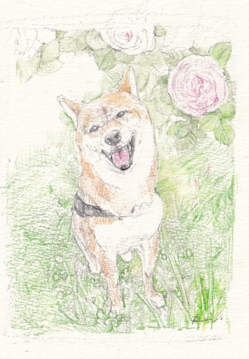 絵本のような世界観とタッチでペットイラスト描きます 水彩色鉛筆の優しいタッチでペットの魅力を引き出し描きます。 イメージ6