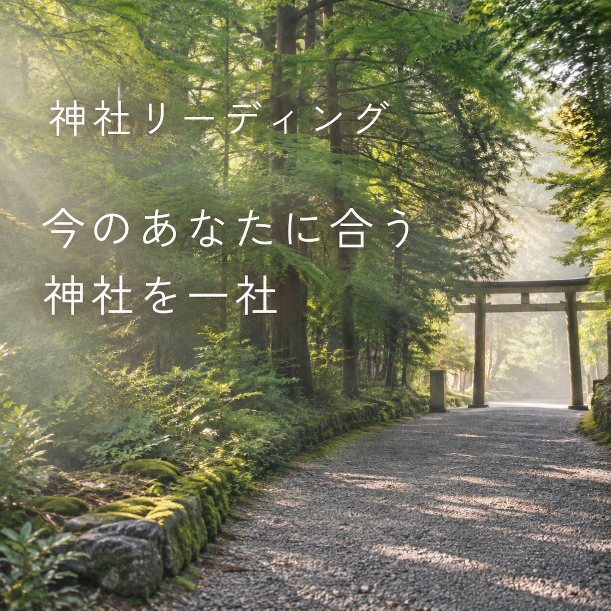 今のあなたに合う神社を1社リーディングします 神社鑑定｜なぜ今その神社なのか、理由までお伝えします イメージ1