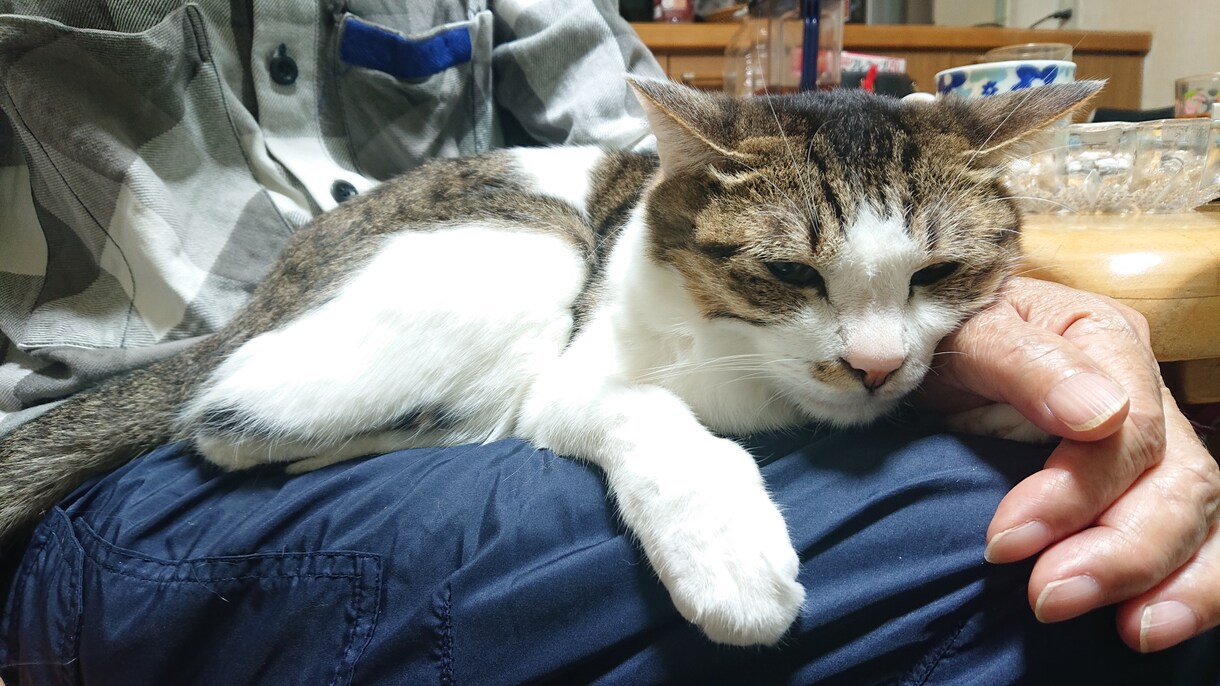 あなたのお悩み、愚痴私が聞きます 日常生活でたまる愚痴、悩みなど…発散する場所がない方向け！ イメージ4