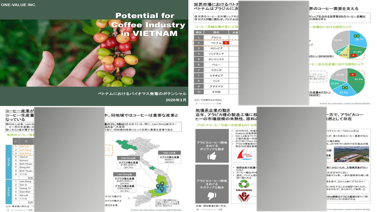 ベトナムに関する市場調査を実施します 12年以上の経験を持つベトナムに精通したコンサルタント イメージ3