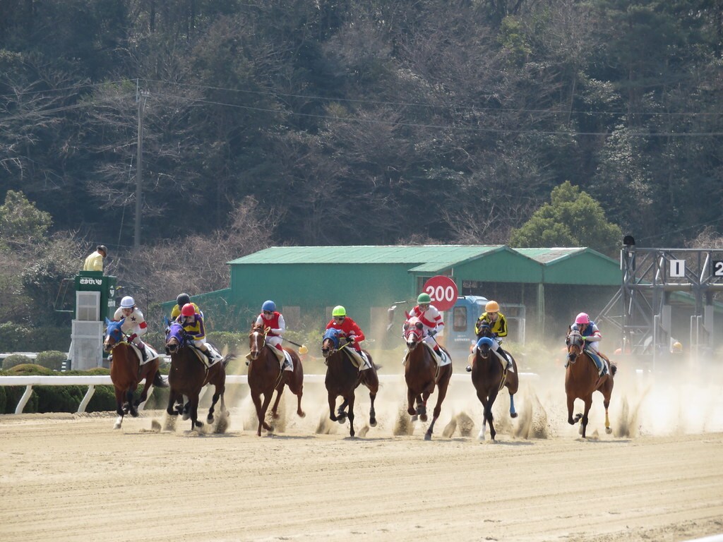 佐賀競馬予想☆小頭数で的中目指します オッズ無視の人気に左右されない予想をしています☆ イメージ1