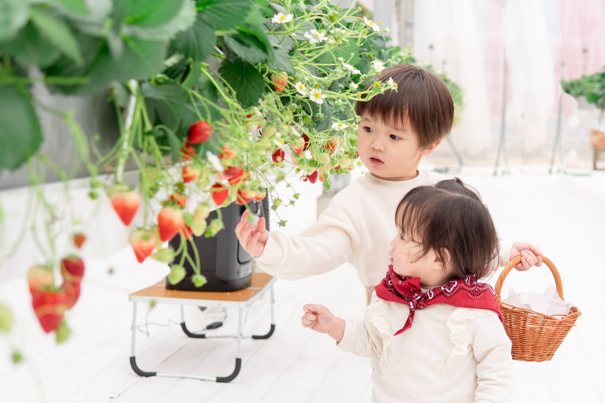 一眼レフカメラで可愛く子供を撮るコツ教えます 我が子を一番可愛く撮れるのは、ママのあなたです！ イメージ5