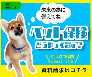 WEB画像制作します シンプルデザインから元気のあるバナーなんでも作ります。 イメージ3