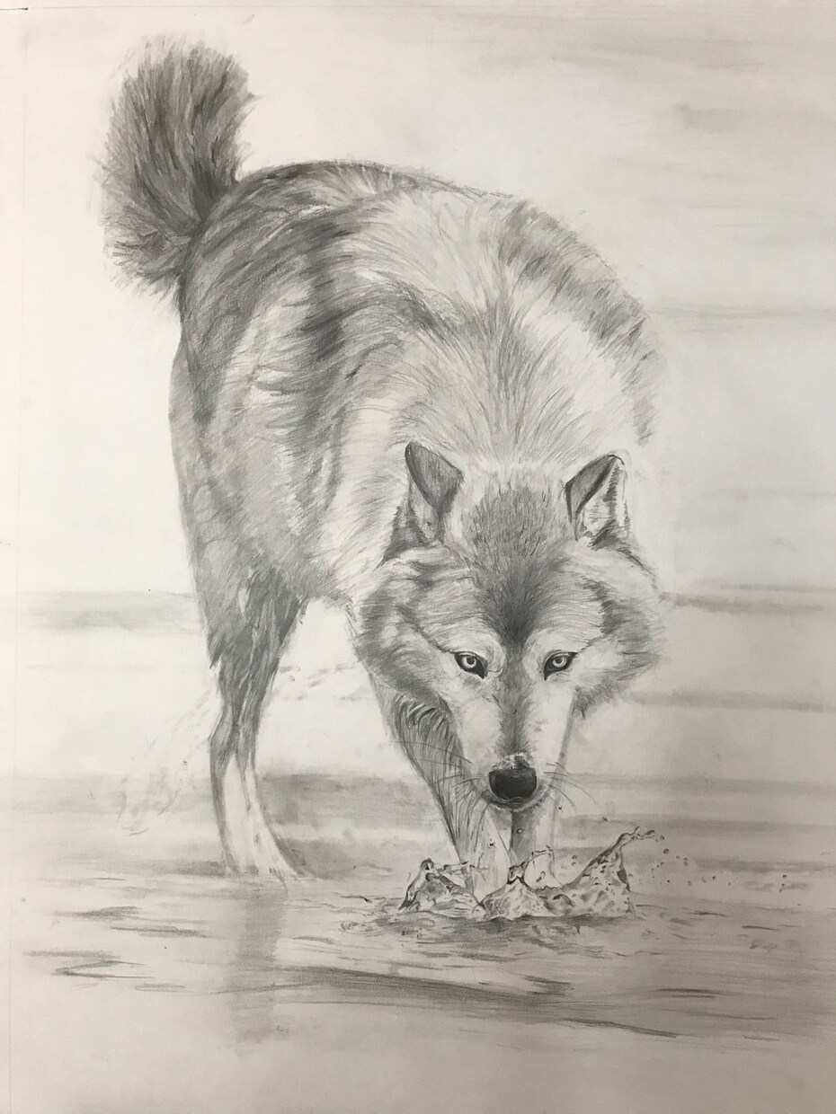 ペットの肖像画のお描きします ペットのかわいらしい姿を鉛筆画または水彩画でお描きします イメージ7