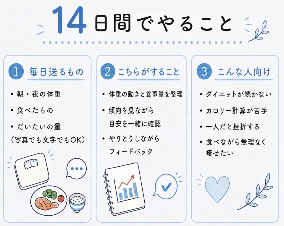 痩せるための自分の攻略ポイントを14日間で探します カロリー計算なし｜体重・食事・水分・時間から一緒に分析します イメージ2