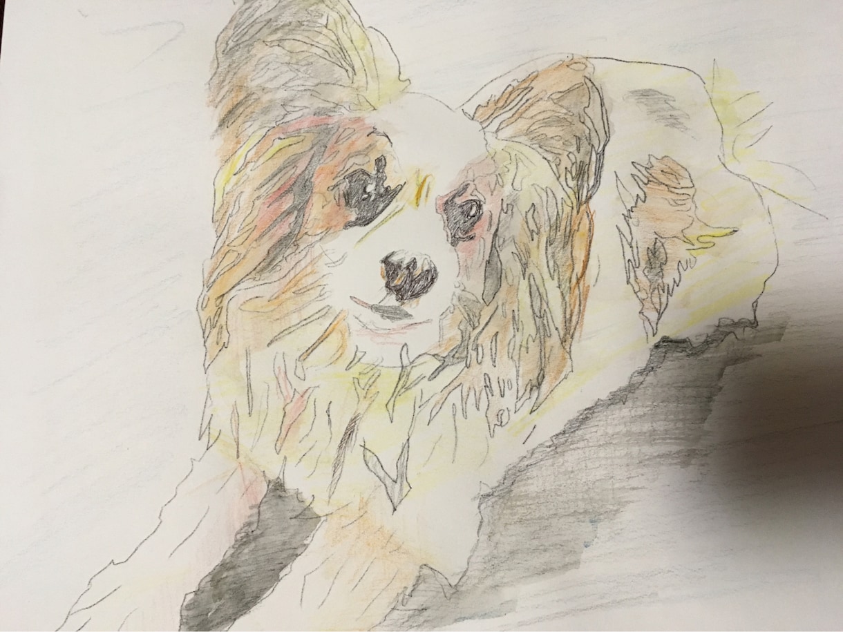 手書きでもデジタルでも】ペットの似顔絵かきます お祝いやプレゼントに♪雰囲気のある似顔絵が欲しいかたへ イメージ1