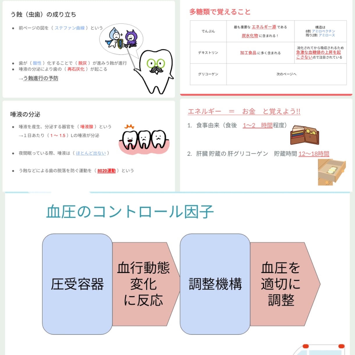 解剖生理、基礎からしっかり教えます どうせやるなら、効率的に!!あなたの学習を徹底サポート イメージ2