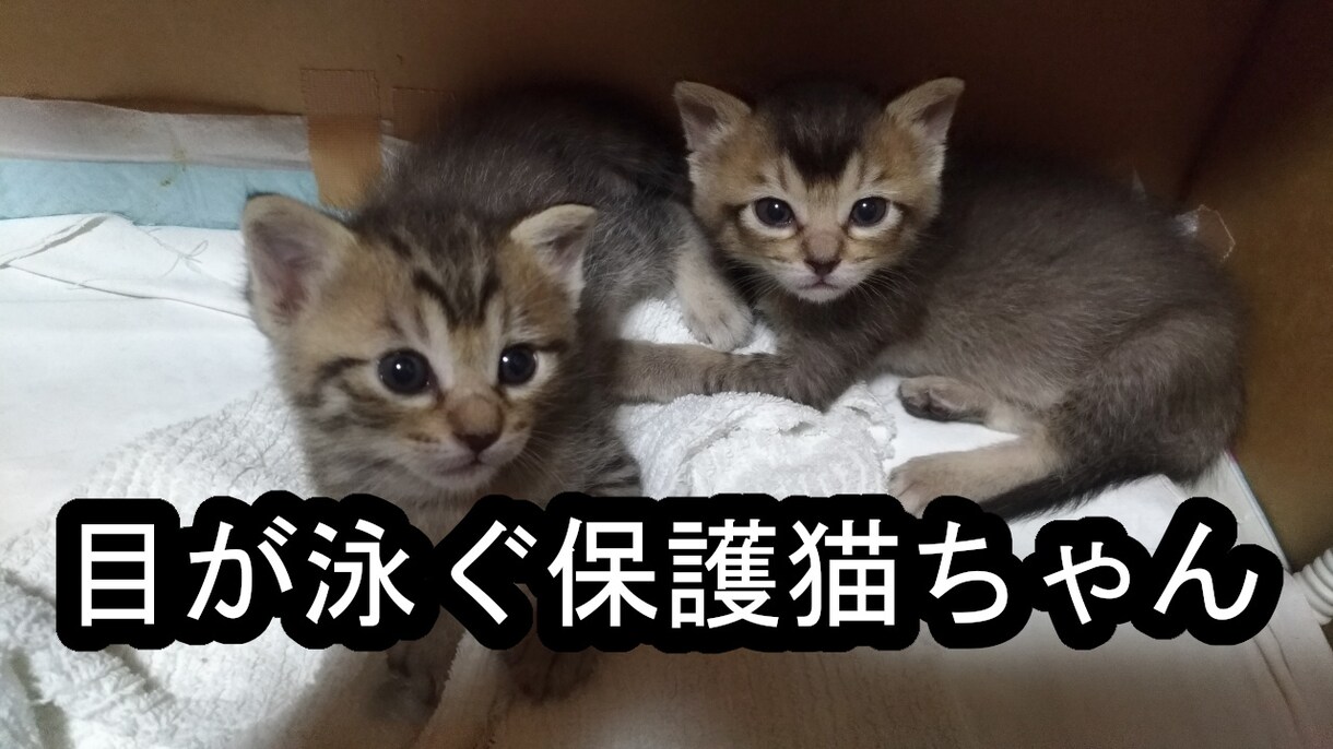 シンプルなYouTube用サムネイル作成します スマホ表示でも判別し易いサムネイルを格安4枚1000円で！ イメージ6