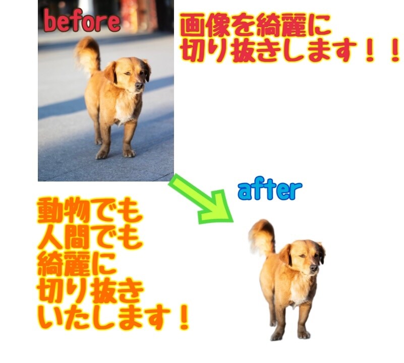 画像切り抜きをしたい写真などを切り抜きいたします 動物や人物の写真を切り抜きいたします今なら文字入れも無料 イメージ1