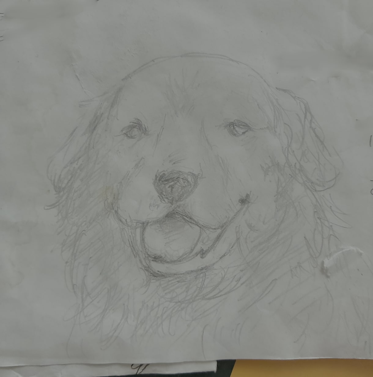 手書きイラストで、大切な人に届けます フル手書きイラストで、ずっと手元に残る、宝物をお届けします。 イメージ1