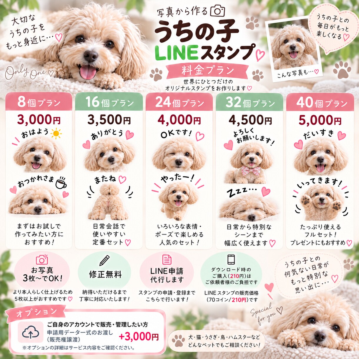 ペットの写真からうちの子LINEスタンプを作ります 大切なうちの子を世界にひとつのLINEスタンプに♡ イメージ3