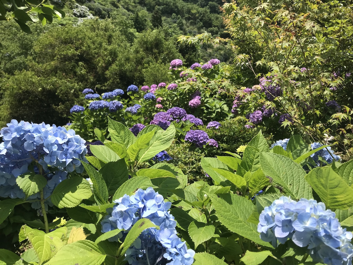 あなたのネガティブ、ポジティブに変えます お悩みのある方へ。一緒に考えます。 イメージ1