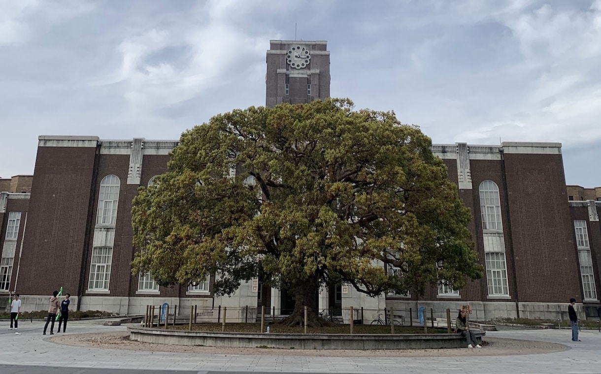 現役京大医学部生が丁寧にオンライン指導します 勉強のサポートはもちろん、受験相談にも真摯に対応します！ イメージ1