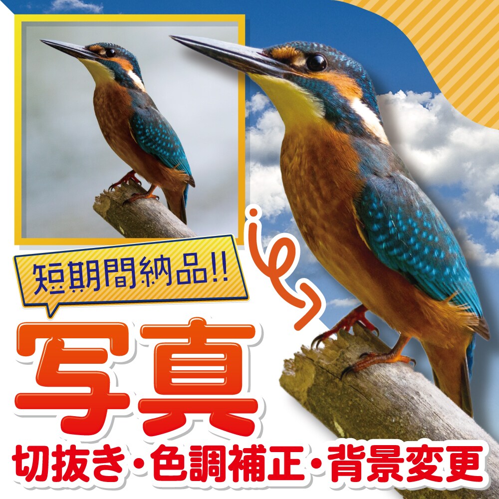 写真の切り抜き・色調補正・背景変更 致します 丁寧にかつスピーディーにご対応！お気軽にご連絡ください！ イメージ1