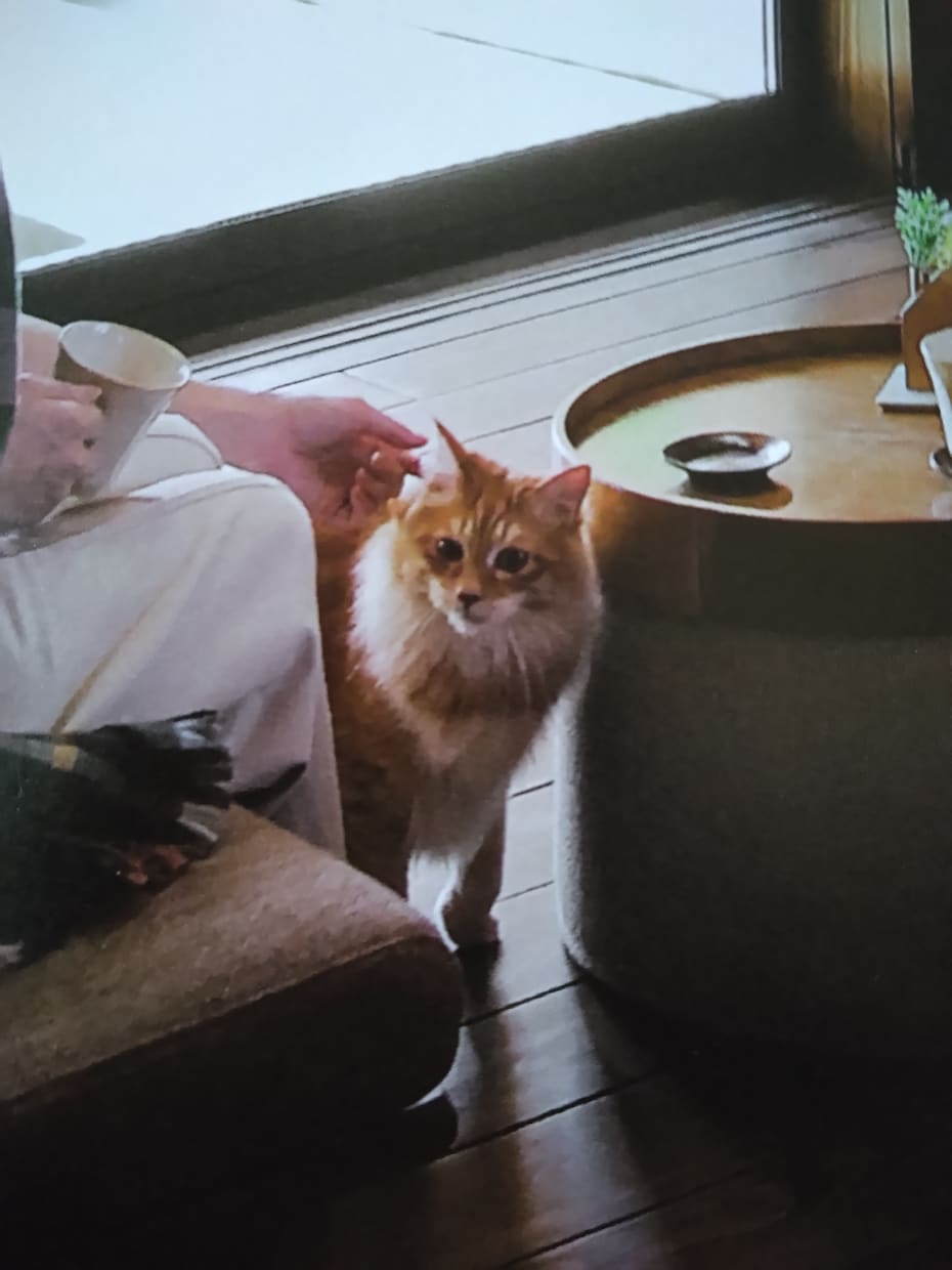 自宅療養　入院闘病生活♡(内緒　心の声)を聴きます 入院経験者とお話し♡不安　孤独　病気　怪我痛み　医療介護保険 イメージ7