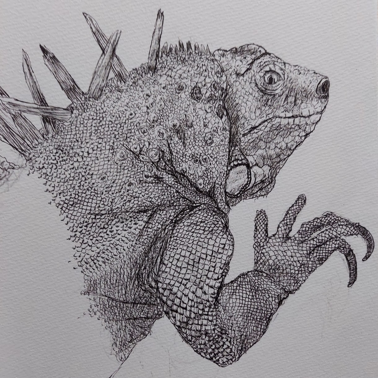 イラストを描きます デジタルイラスト、絵画。動物が得意です イメージ1
