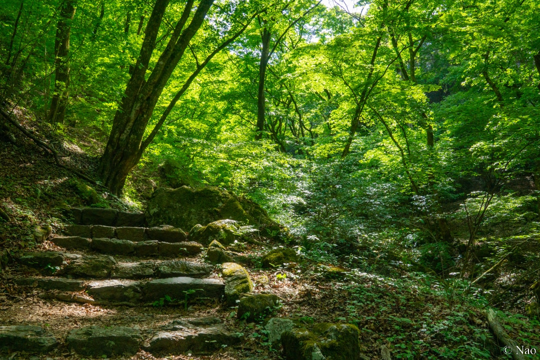 東京の山（高尾・奥多摩）の風景写真を撮影代行します 美しい風景や花の写真を提供！商用利用可・RAW現像サービス付 イメージ3