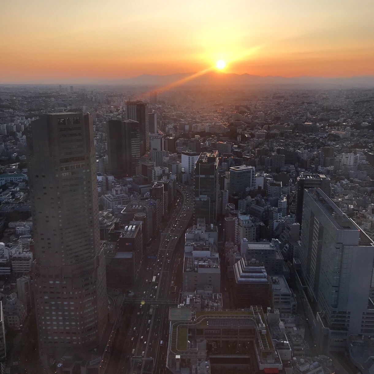 東京都内のデートプランをいくつか提案いたします あなたとお相手に合うプランをオーダーメイドで考えます イメージ4