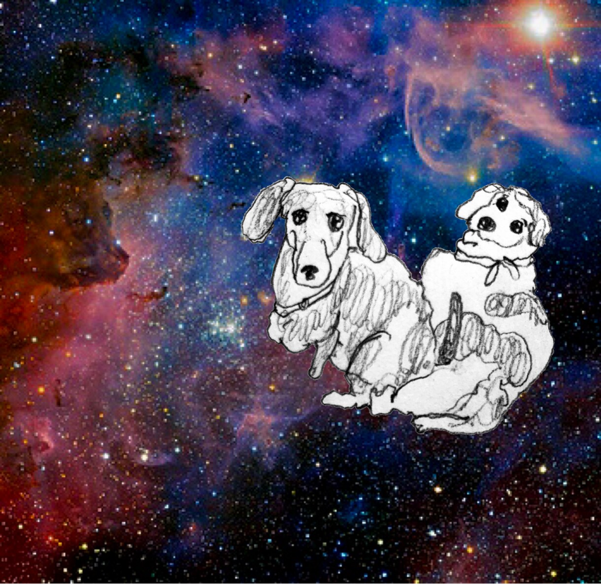 ペットのワンちゃんイラスト描きます 【犬限定】✰︎あなたのワンちゃんを宇宙に浮かばせませんか✰︎ イメージ7