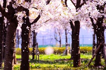 あなたの恋愛・心のお悩み・相談・心理・占います あなたの心が楽になれるお手伝いをします。 イメージ3
