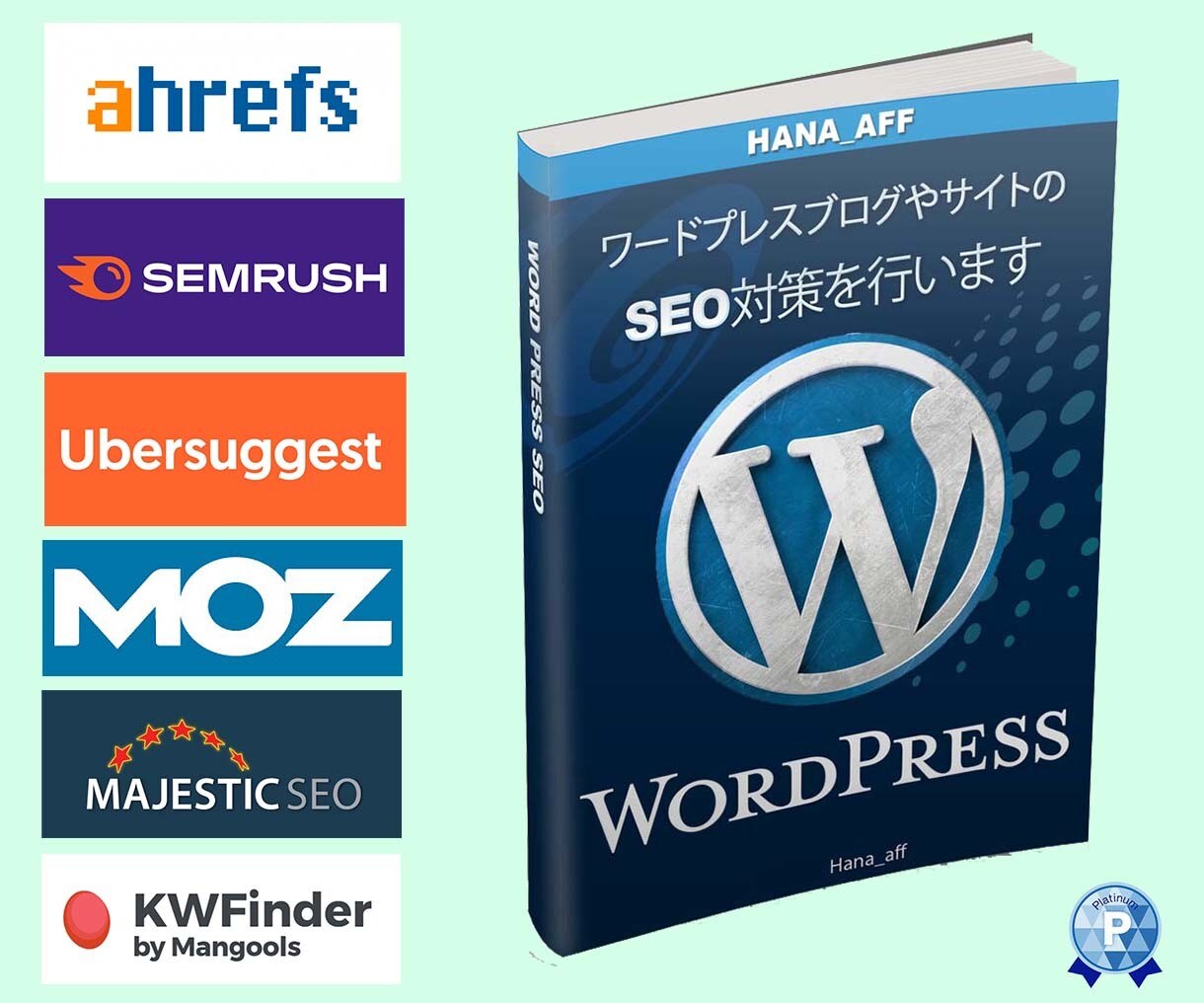 ワードプレスブログやサイトのSEO診断を行います 全60ページ以上！2024年に通用する改善点をお伝え致します イメージ1