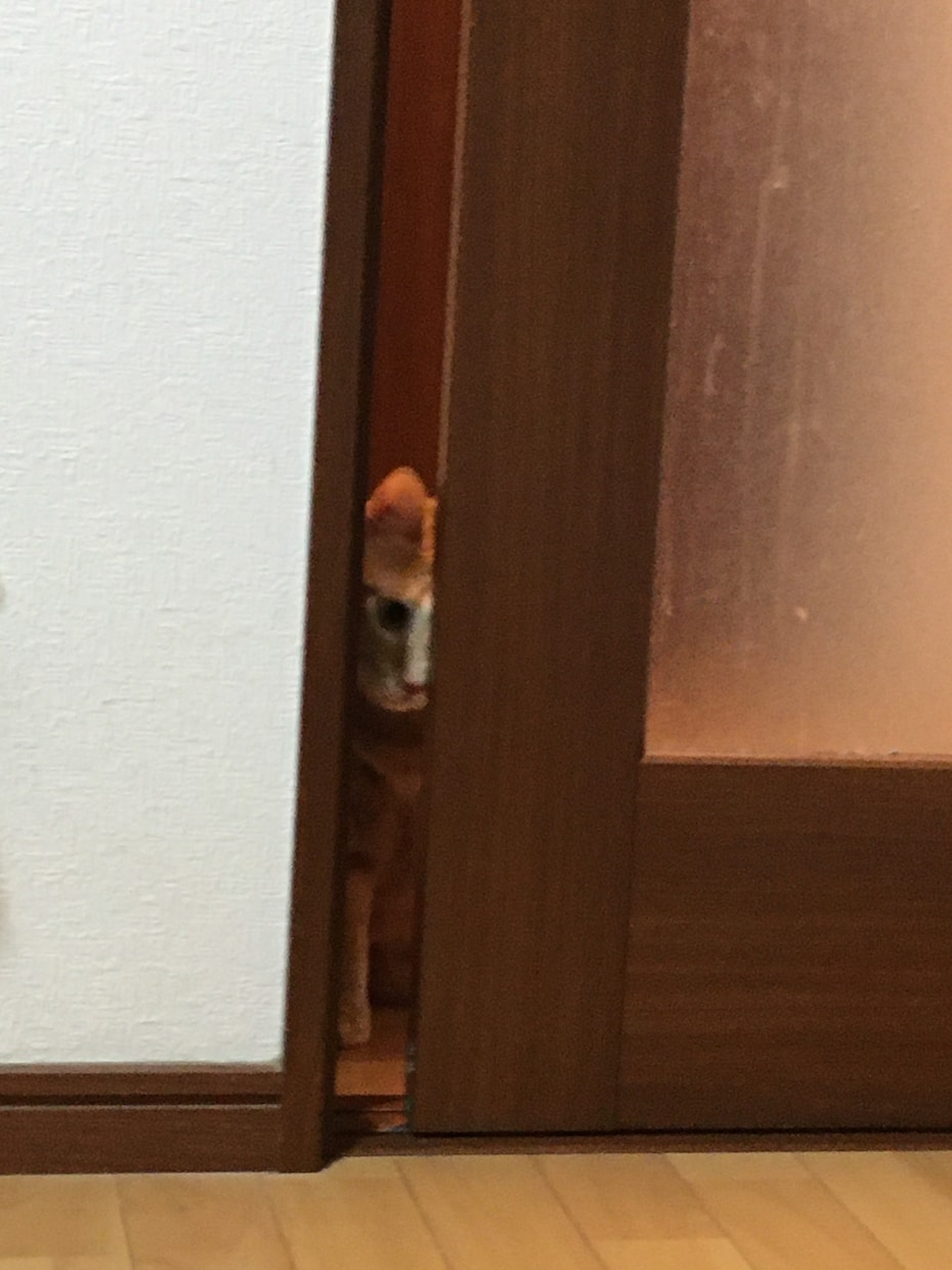 何でもLINE感覚で、お話し聞きます 相談・悩み・恋話しなんでもOK イメージ2