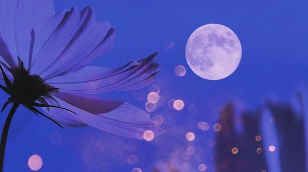 人間関係で悩んでるあなた❣タロットで占います なぜかうまくいかない。人との付き合い方が分からなくて困る。 イメージ1