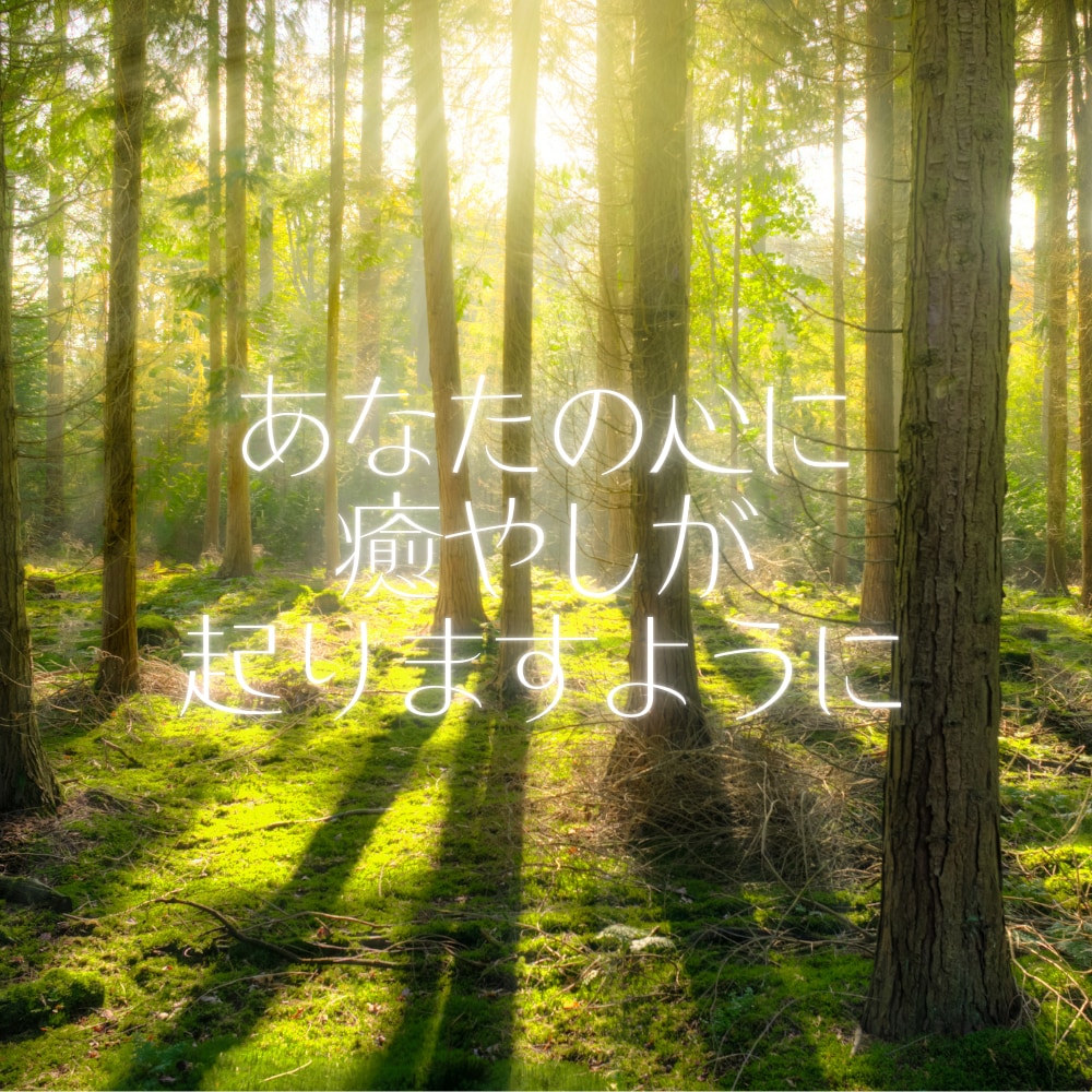 あなたの気持ちを軽くするお手伝いをいたします 心の元気を取り戻すまで、あなたのペースで伴走します☆彡 イメージ5