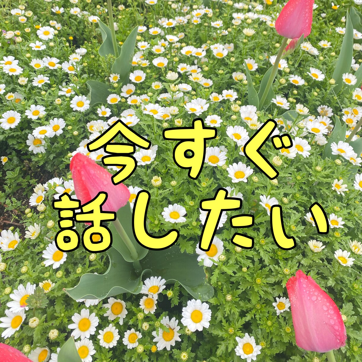 20代現役歯科衛生士が癒します お話相手にしてみませんか？耳を癒し疲れをほぐします♪ イメージ2