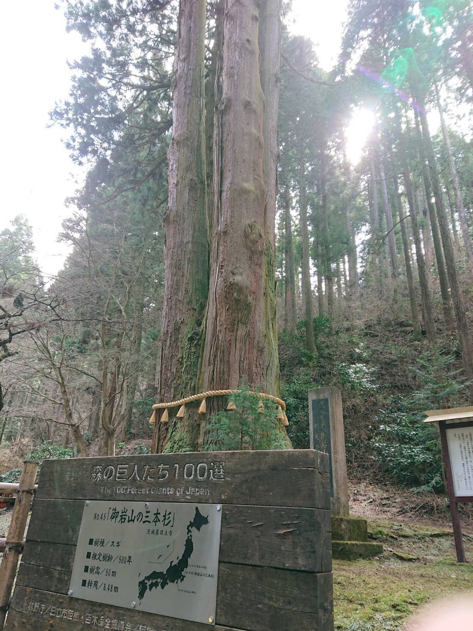 大きな愛の豊かなヒーリング致します 現在までに遠隔ヒーリングで様々な方から効果を感じて頂いてます イメージ3