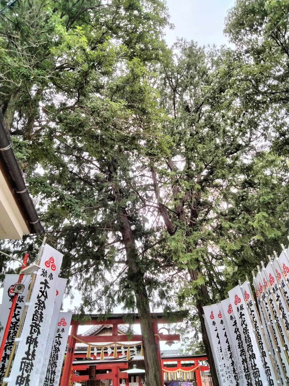 営業、テレアポの愚痴　その他もろもろお聞きします あなたのモヤモヤ　一緒に発散しましょう！ イメージ1