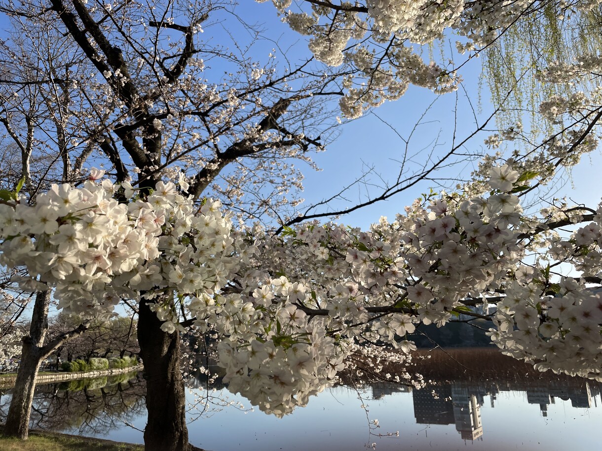 貴方が解放される為にお手伝いします 出逢えた事は、繋がっているから.お悩みや悲しみを吐き出して！ イメージ1