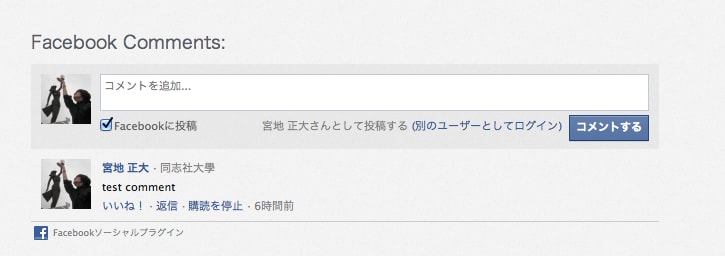 あなたのHPにFBのコメント欄、『いいね！』欄つけます！ イメージ1