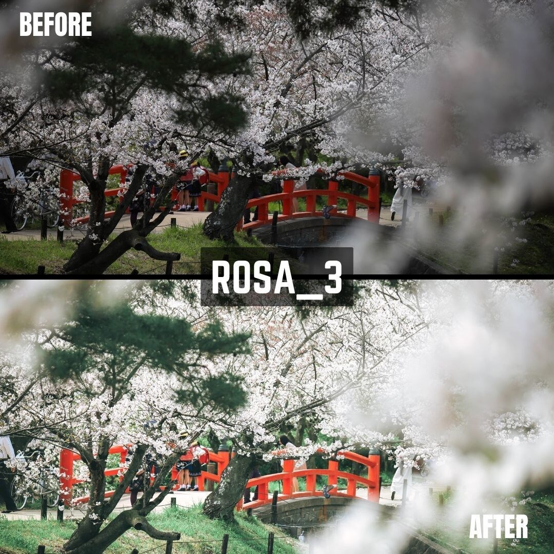 ROSA｜Lightroomプリセット販売します スマホで撮影した写真、ワンタッチで大変身！ イメージ10