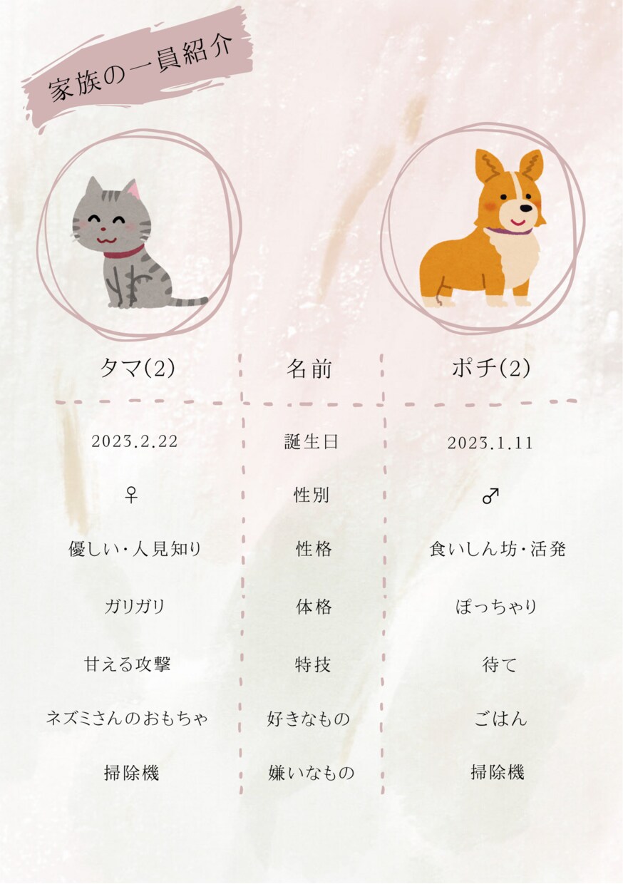 ペーパーアイテム各種作成します ページ数、入れたい項目、お好み何でもご相談ください☺︎ イメージ6