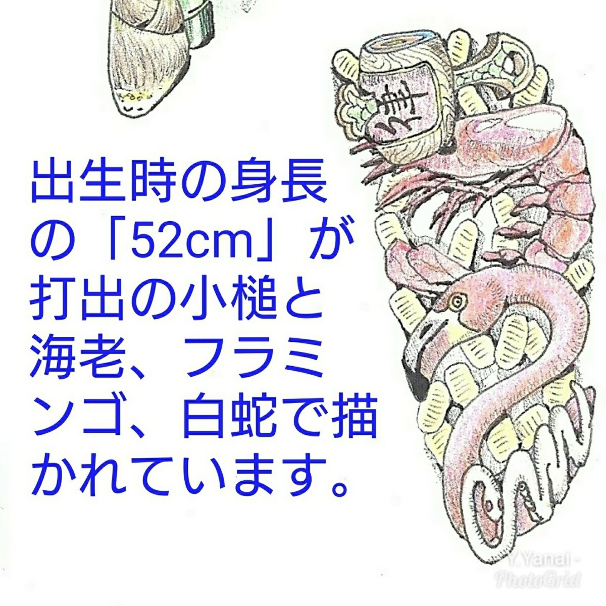 お子様に由来するイラストによる命名書を描きます 星座、干支、身長、体重等ご希望のモチーフが随所に隠れています イメージ4