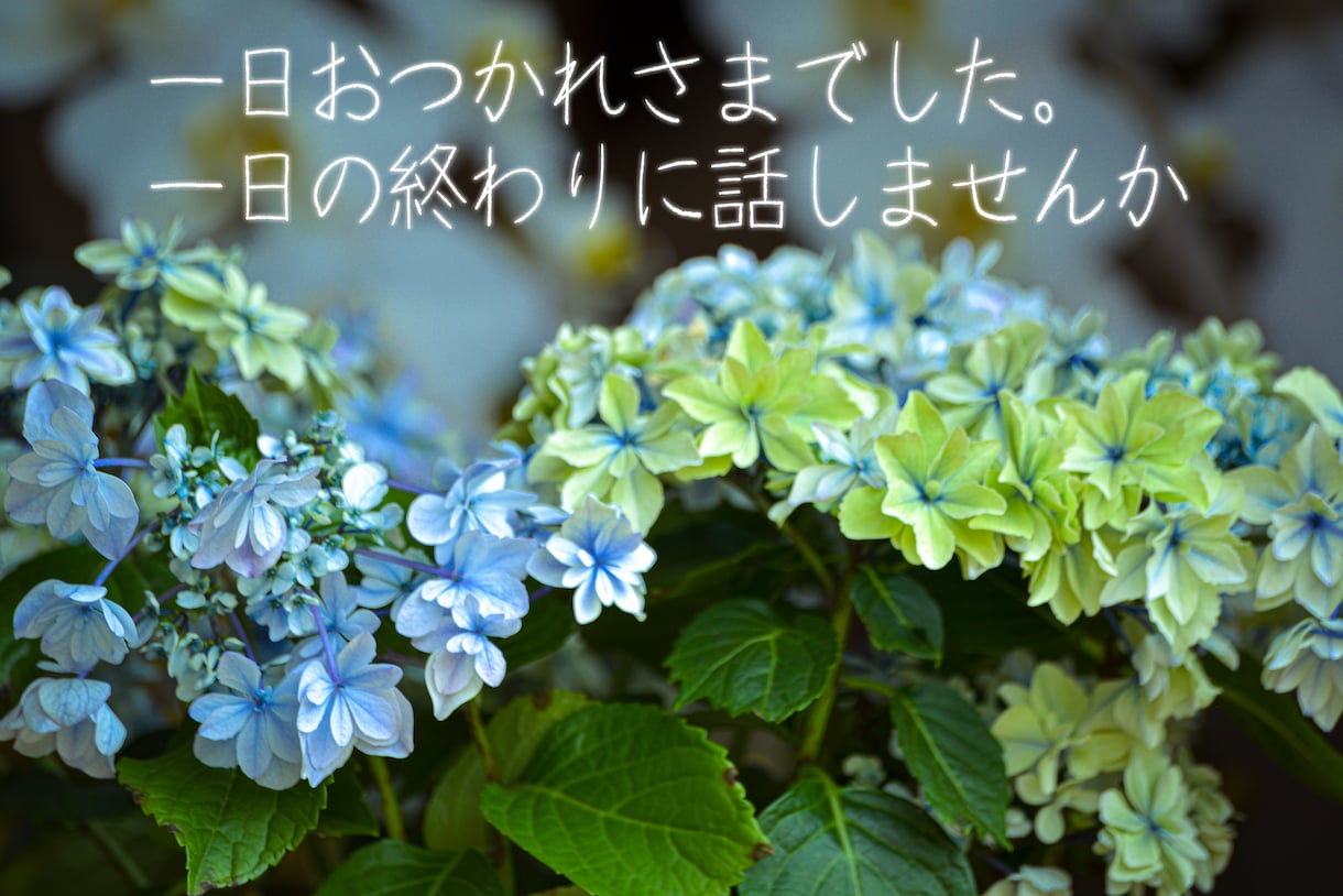 話を聴いてほしい!どんなお話も全力でお聴きします 現役生活相談員。国家資格複数保持。安心してお話ください。 イメージ10