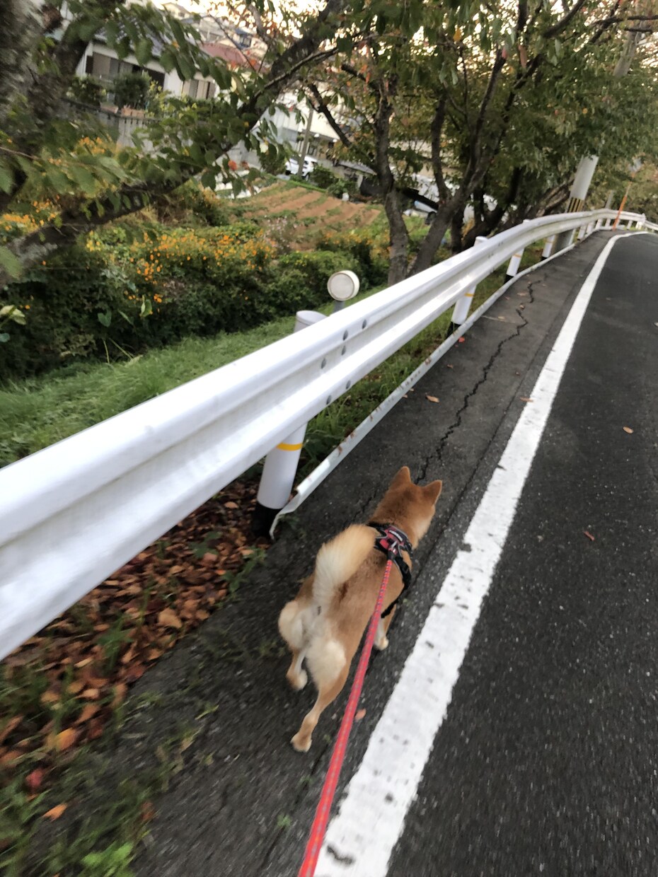 何気ない日々のお話お聞きします ひなたぼっこで何気ないお話しをしましょう⭐︎ イメージ2