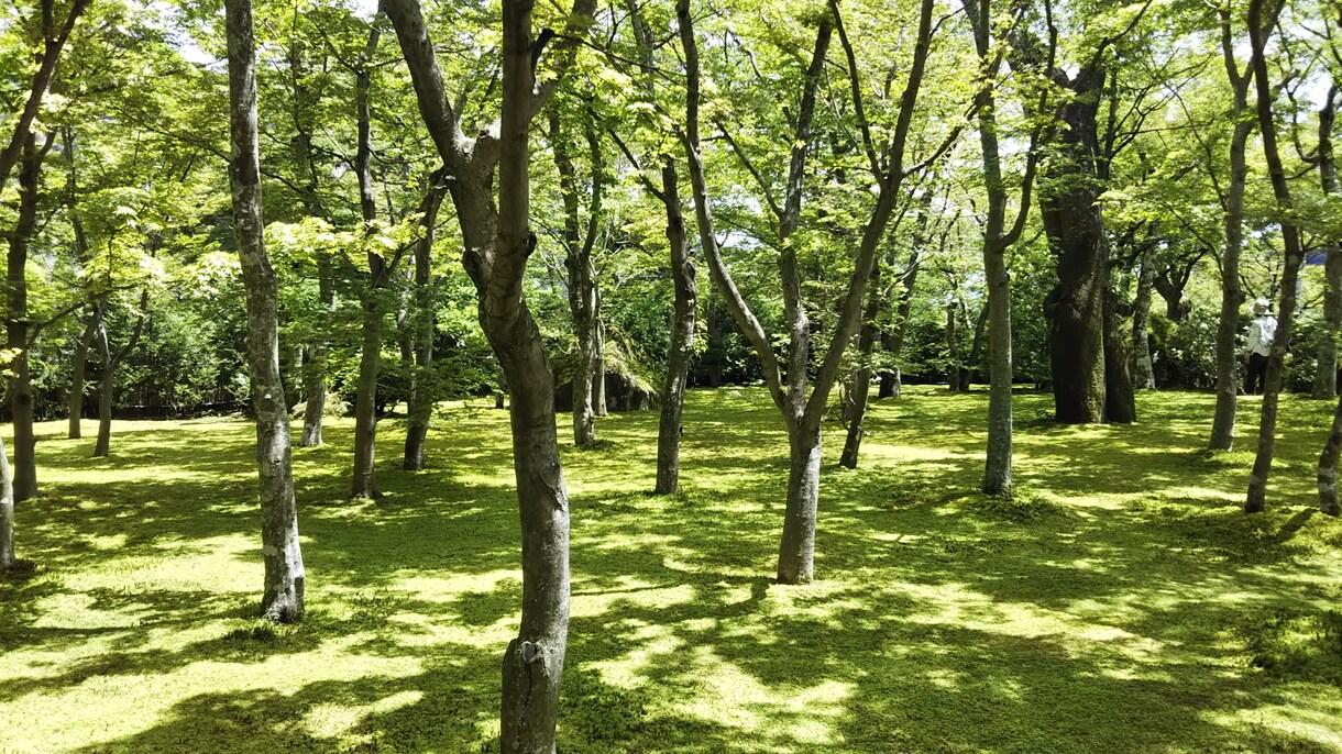 心が疲れてしまった方の、心の負担を軽くします 資格と経験を活かして、ご相談者の心の声に耳を傾けます。 イメージ1