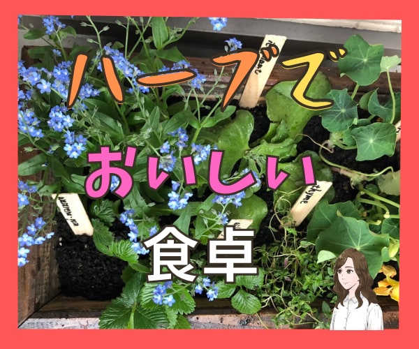 ハーブコーディネーター講師が5種類寄せ植え教えます ハーブを使って✳おいしい食卓✳ハーブを食べよう!! イメージ1