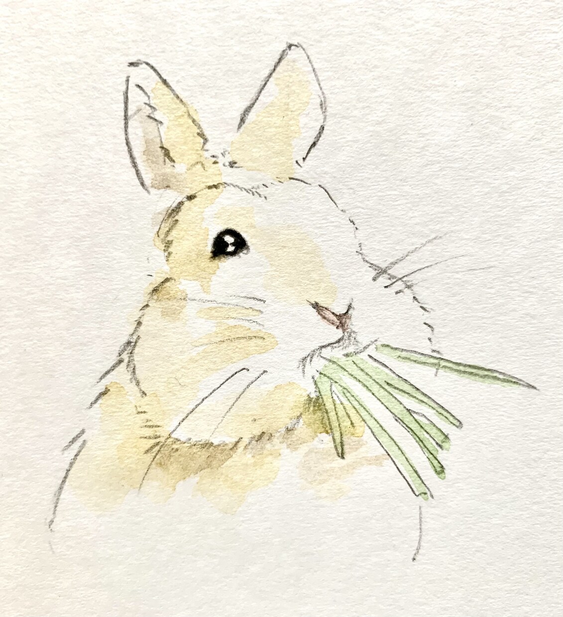 お部屋のアクセントに！小さめの絵、安く描きます インテリア、挿絵、ギフトに簡単な水彩画はいかがですか？ イメージ3