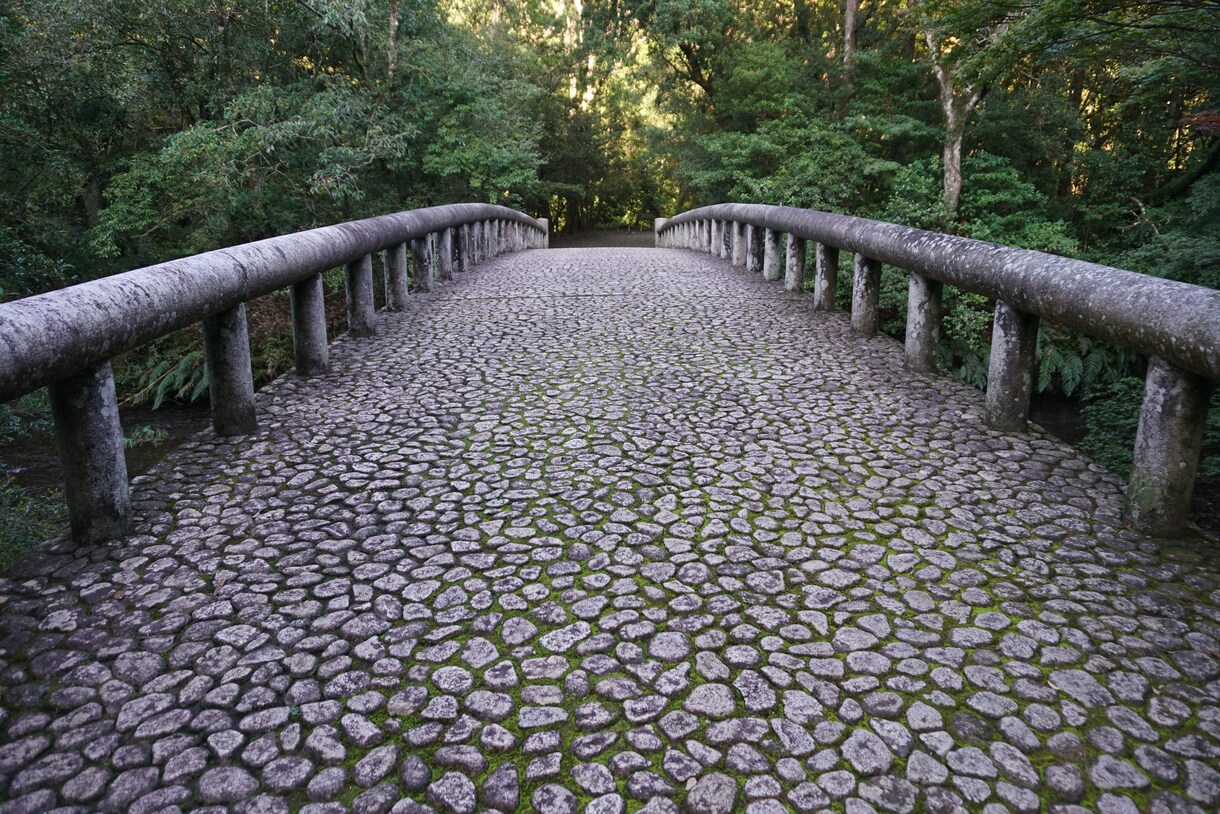 様々なジャンルの写真の提供いたします ご依頼があれば希望の写真も撮影しちゃいます！！！ イメージ7