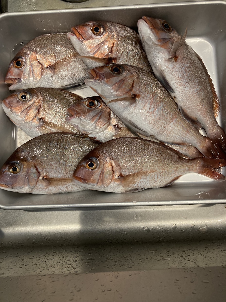 初心者〜熟練者まで！釣りの相談のります 動画ではわからない釣具の選び方や良い船宿選定教えます イメージ1