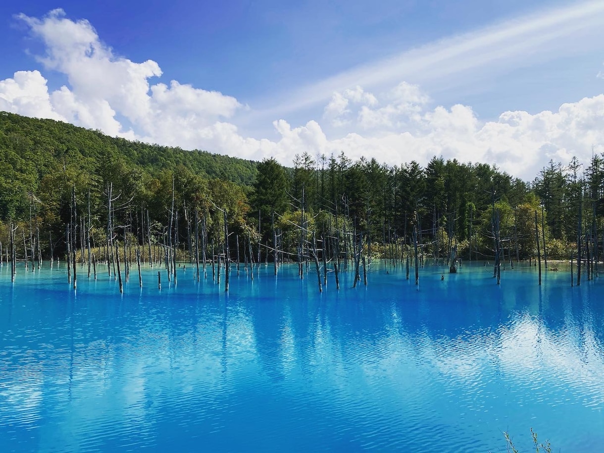 北海道の行ってみたいを教えます 北海道のおすすめスポットや穴場スポットをプランニング♪ イメージ1